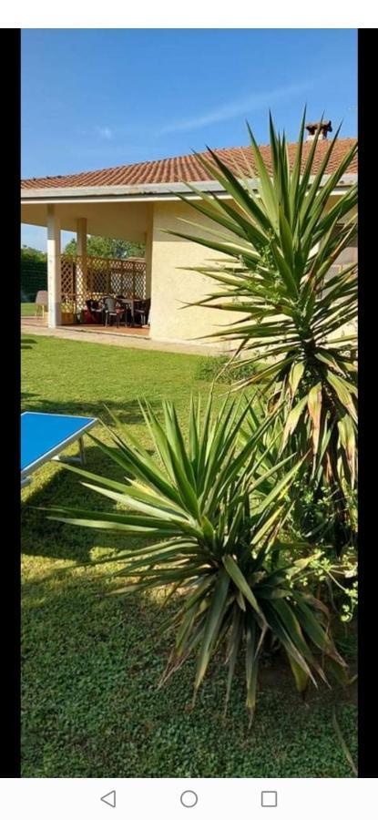 Green Garden В'яреджо Екстер'єр фото